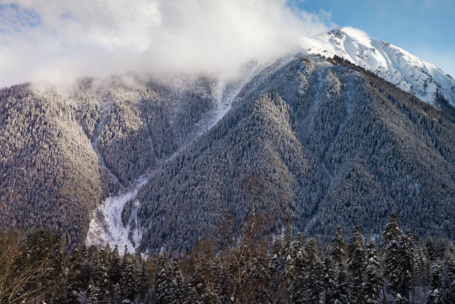 arkhyz, landscape, snow, landscape, frozen, frost, nature, mountains, forest, pine, Бугримов Егор