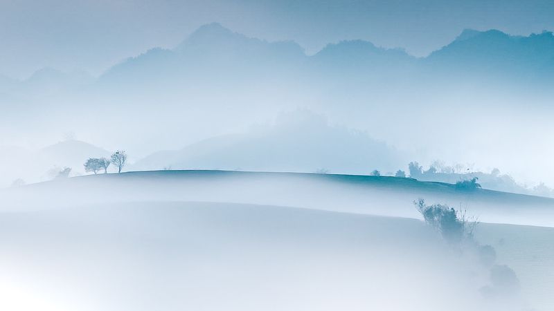 Moc Chau tea hill фото превью