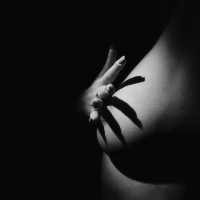 shadows Shadows фото превью