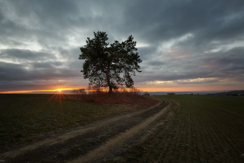 Sunrise фото превью