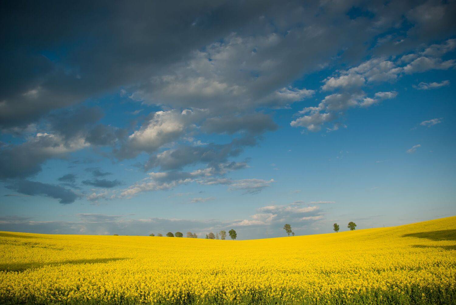 украина, война, вольность, ukraine, war, freedom,,  Mirosław Pruchnicki