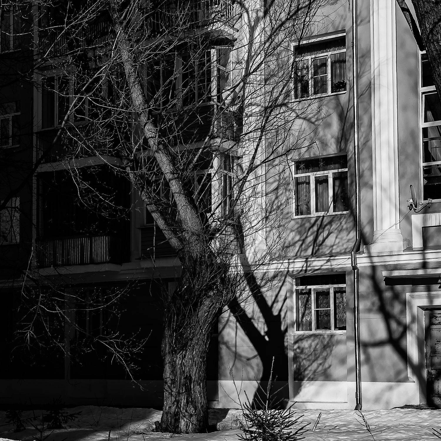 , Денис Сухачев