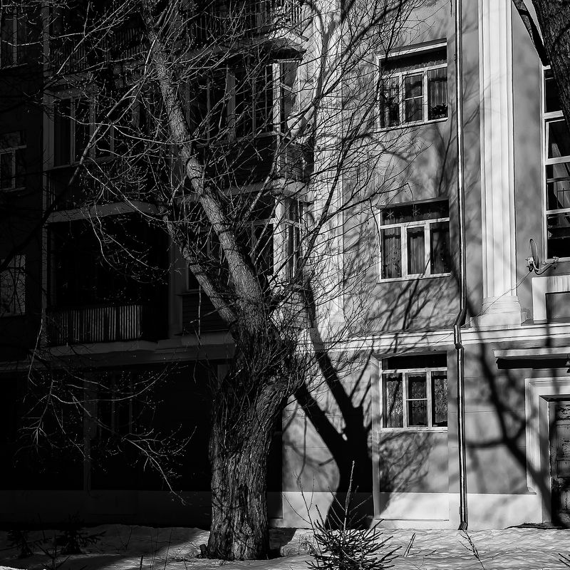 тень фото превью