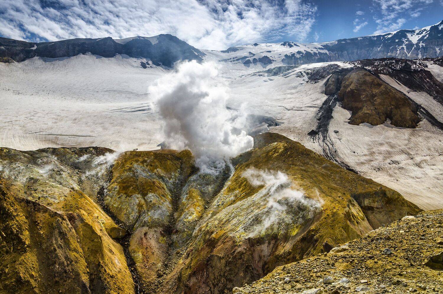 , Александр Березуцкий