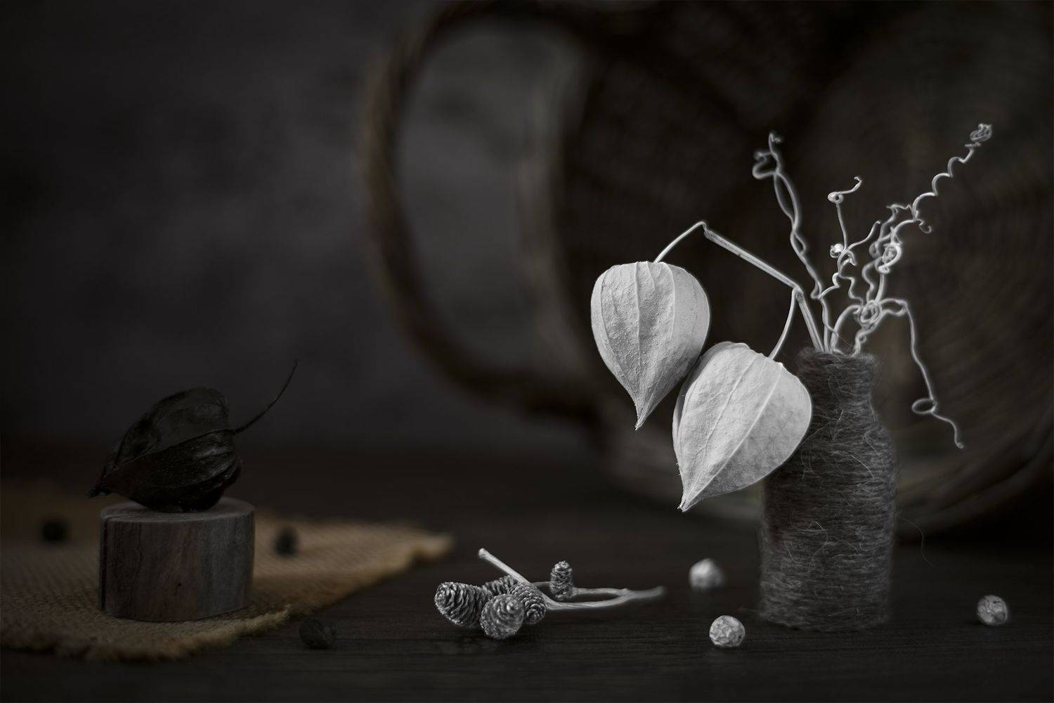 физалис, натюрморт, Александр