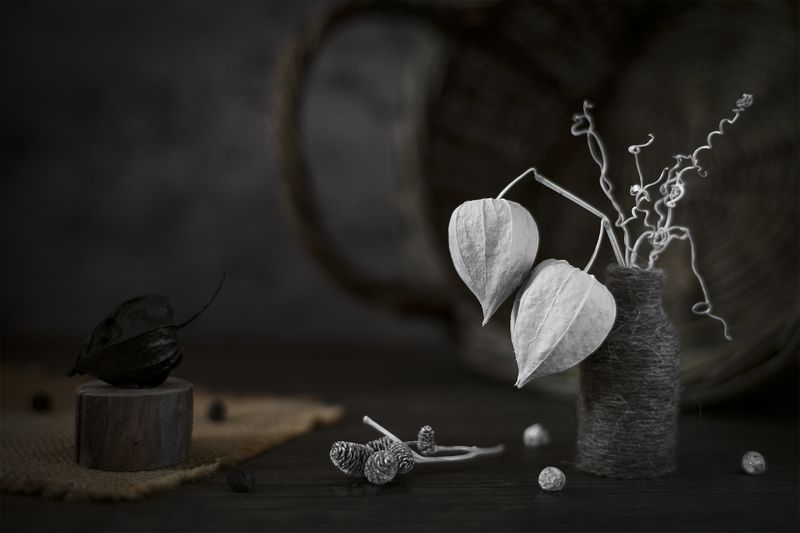 физалис, натюрморт *** фото превью