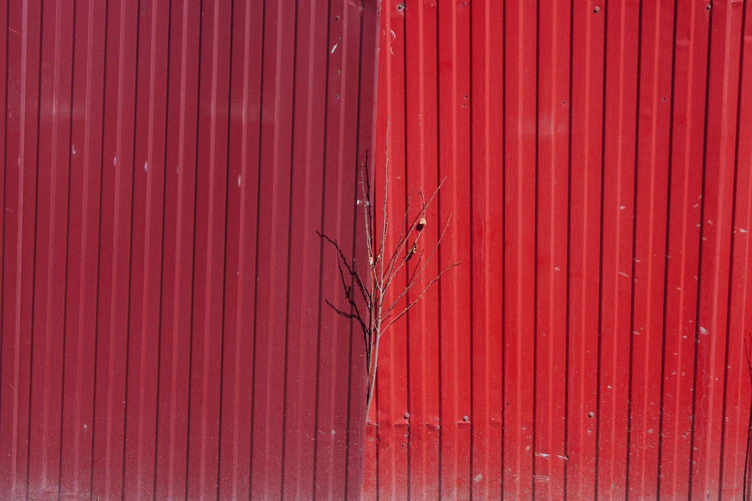 , Ольга Таланцева