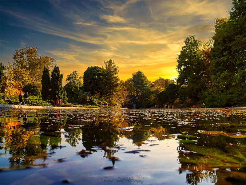 Golden Time фото превью