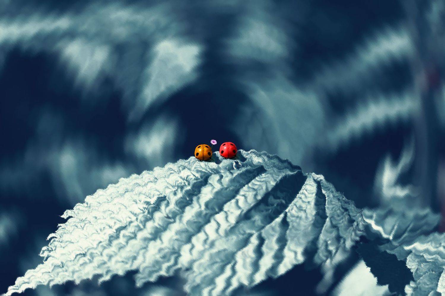 креатив, концепция, коллаж, creative, conceptual, collage, fineart, two, pair, пара, Дмитрий Салтыков