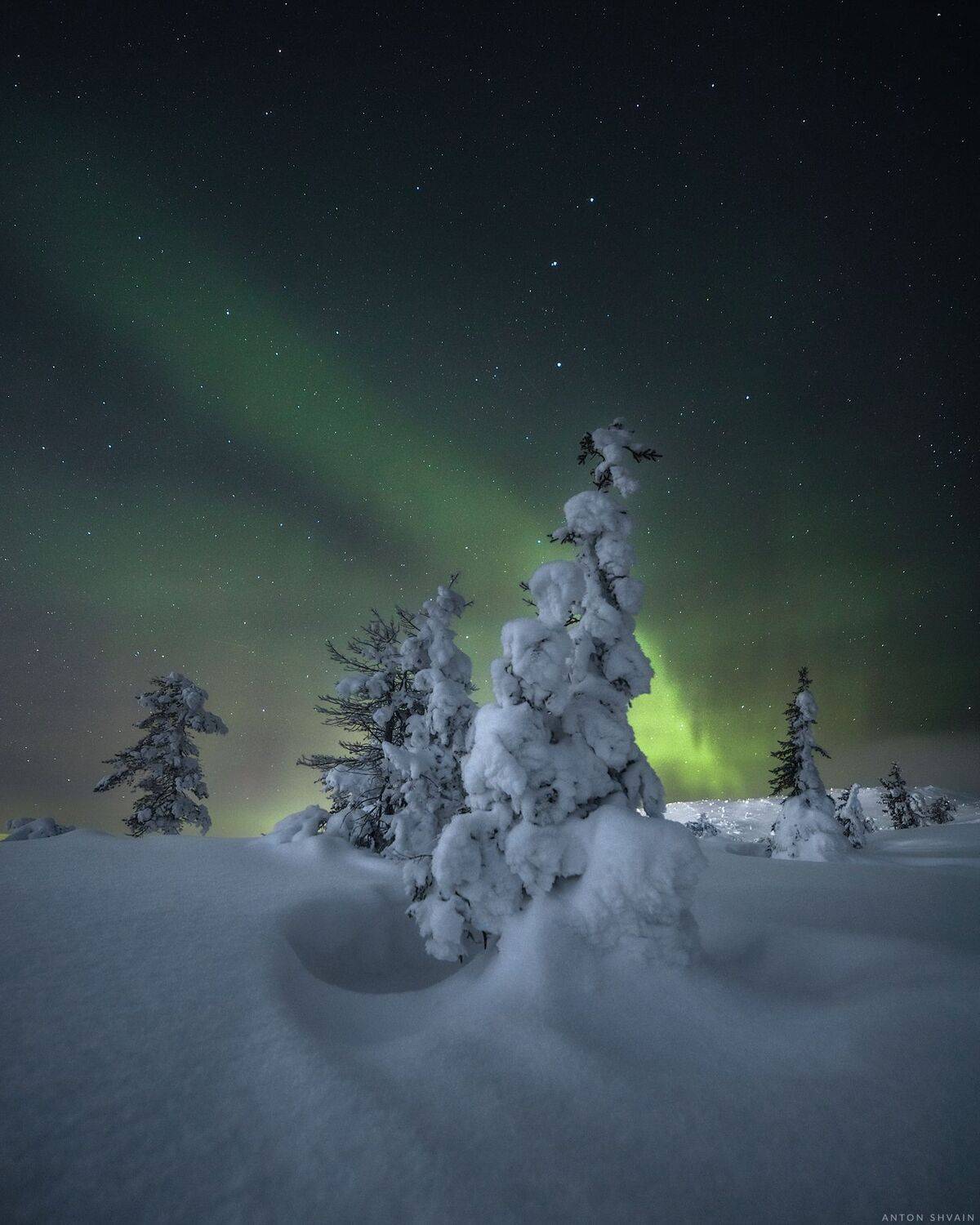 , Антон Шваин