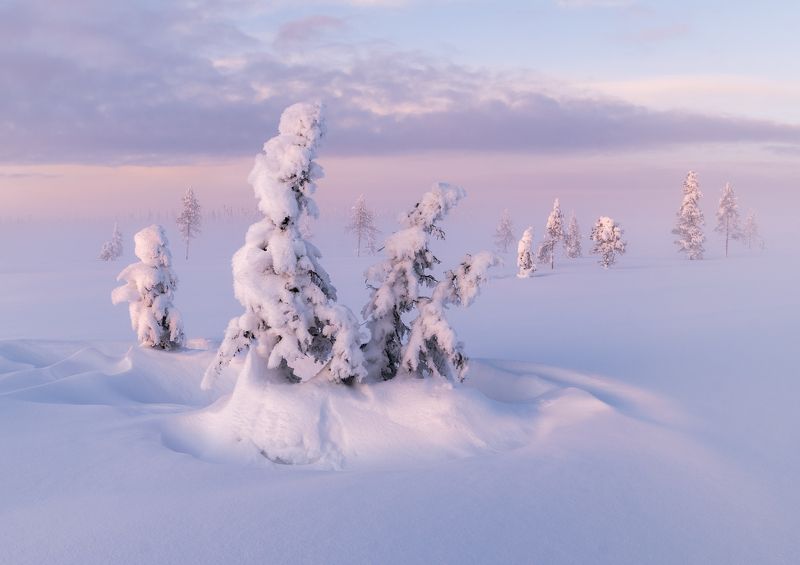 кольский полуостров, мурманская область, россия, пейзаж, природа, закат, север, заполярье, kola peninsula, murmansk region, russia, landscape, nature, sunset, north Квартет фото превью