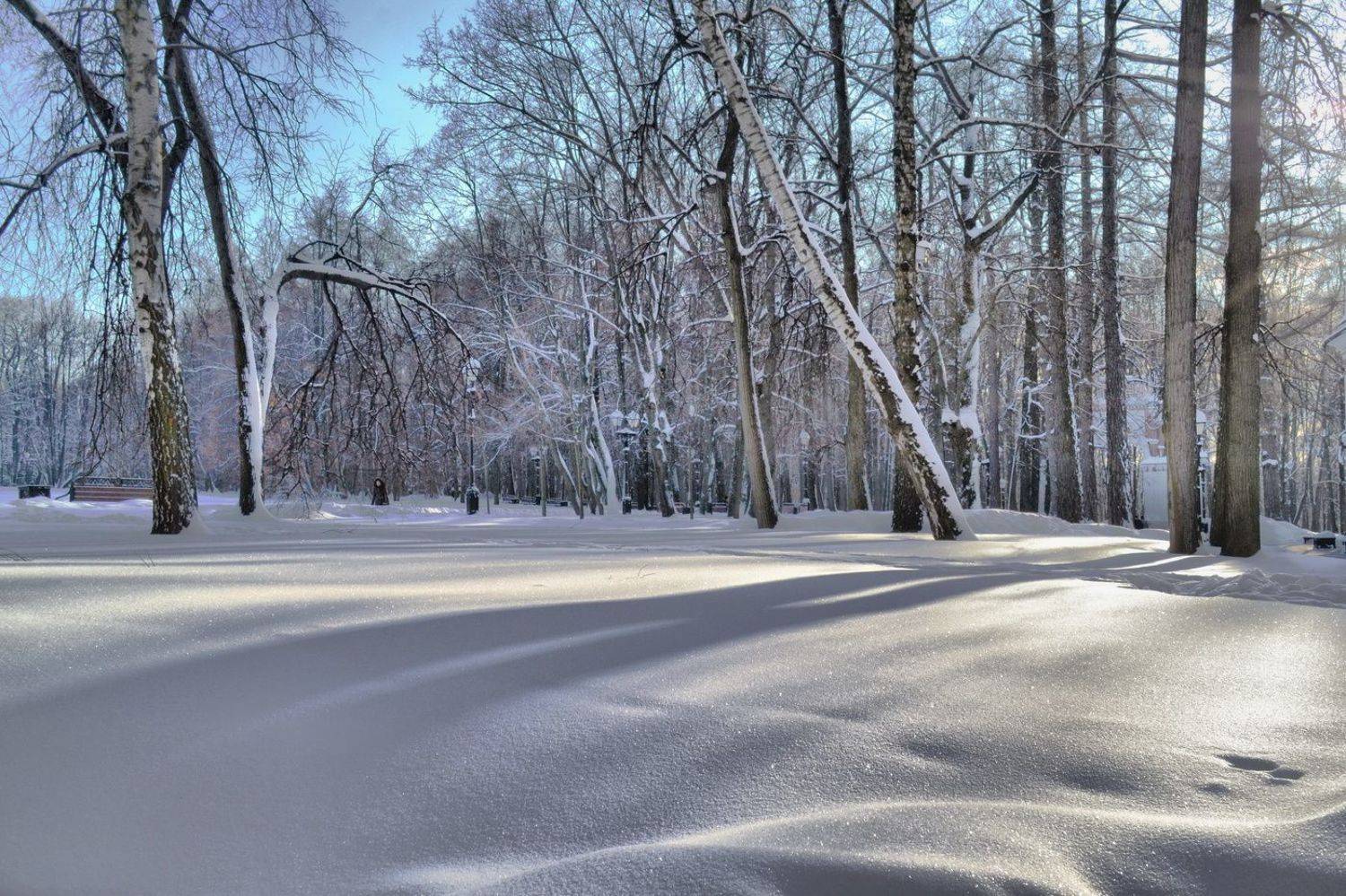 , Новиков Михаил