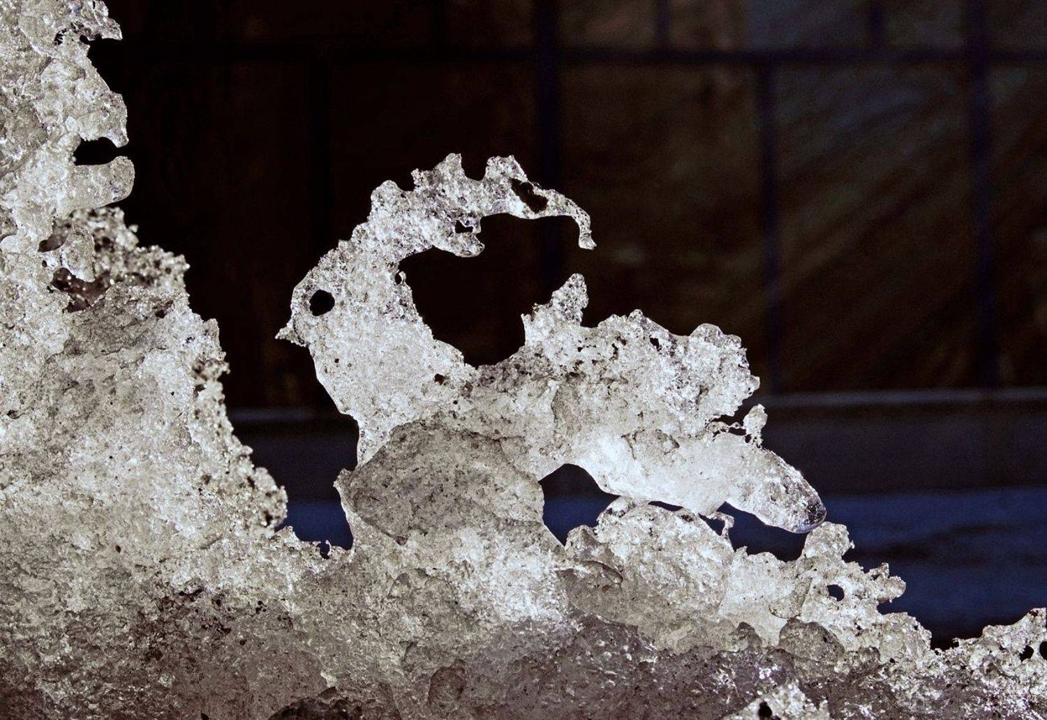 pareidolia, ПОЛУЕВ ИЛЬЯ