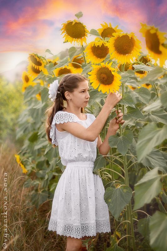 фотограф Лисичанск, детский фотограф, семейный фотограф, летняя фотосессия, фотосессия на природе, фотосессия в подсолнухах, Лисичанск, Луганская область, Северодонецк, фотограф Северодонецк, Ирина фото превью