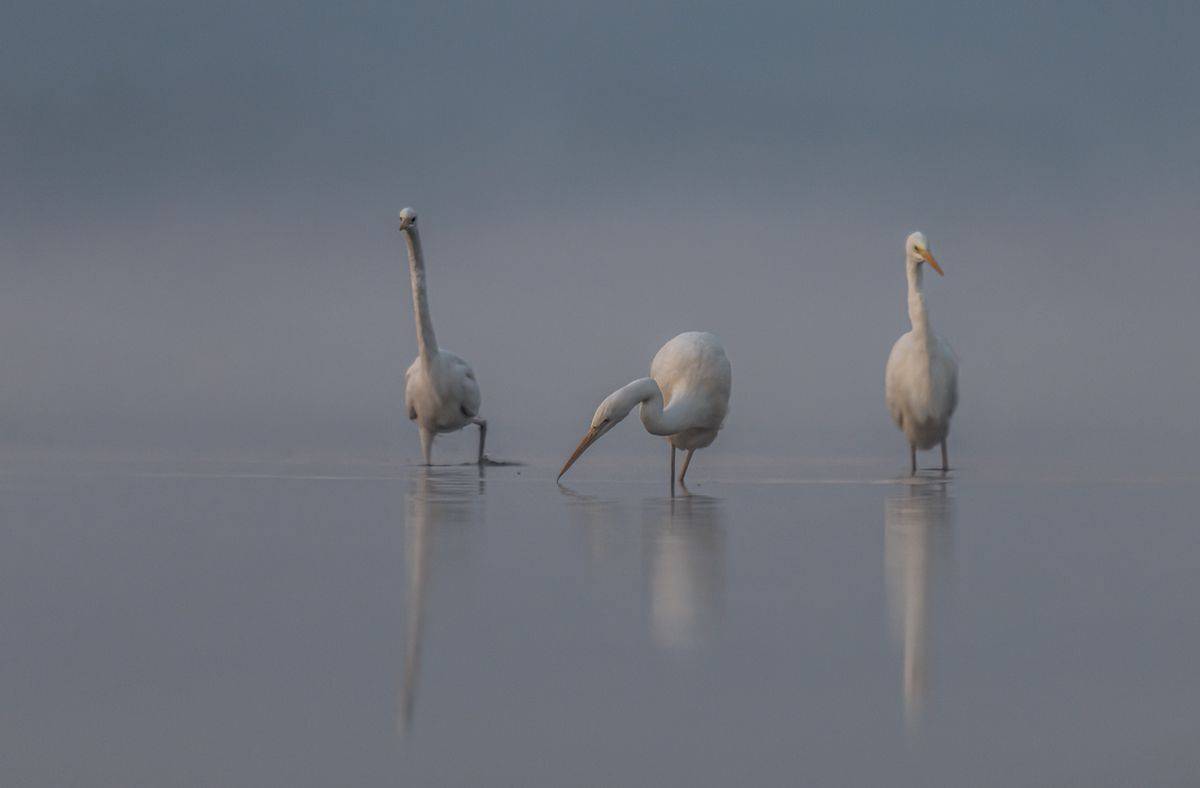 , Sławek Przybylski