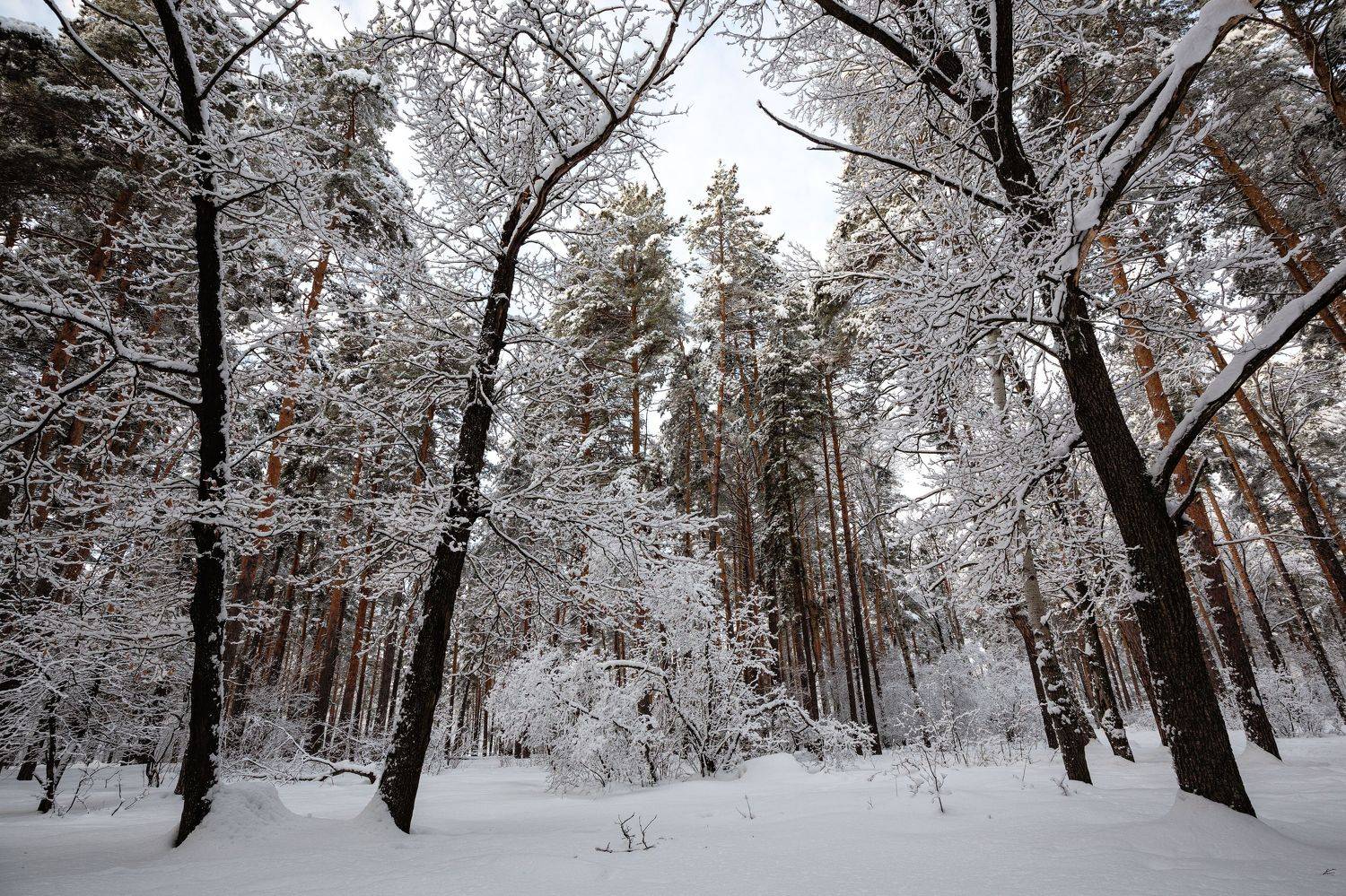 , Александр Бредихин