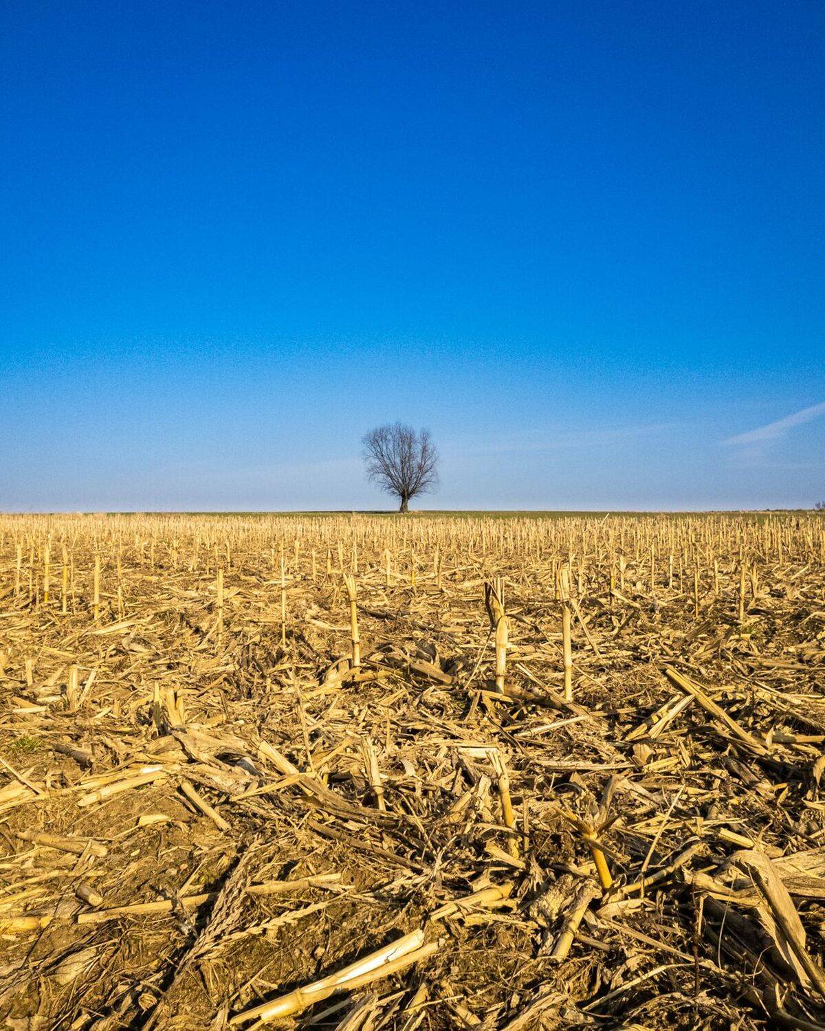 stop, war, ukraine, Jeruzalski Mariusz