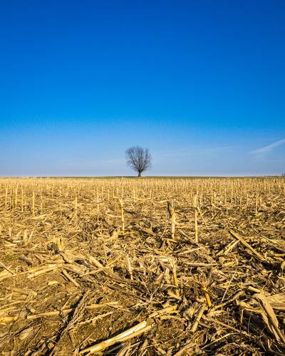 Stop Russian war against Ukraine!