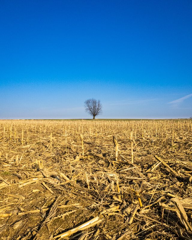 stop, war, ukraine Stop Russian war against Ukraine! фото превью