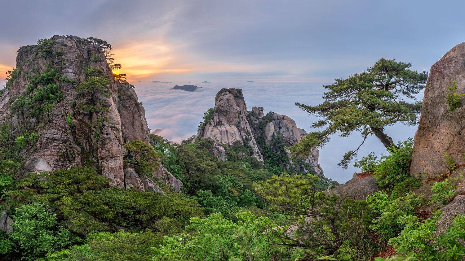 , Jaeyoun Ryu