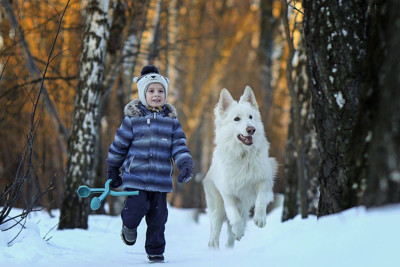 , Андрей Ершов