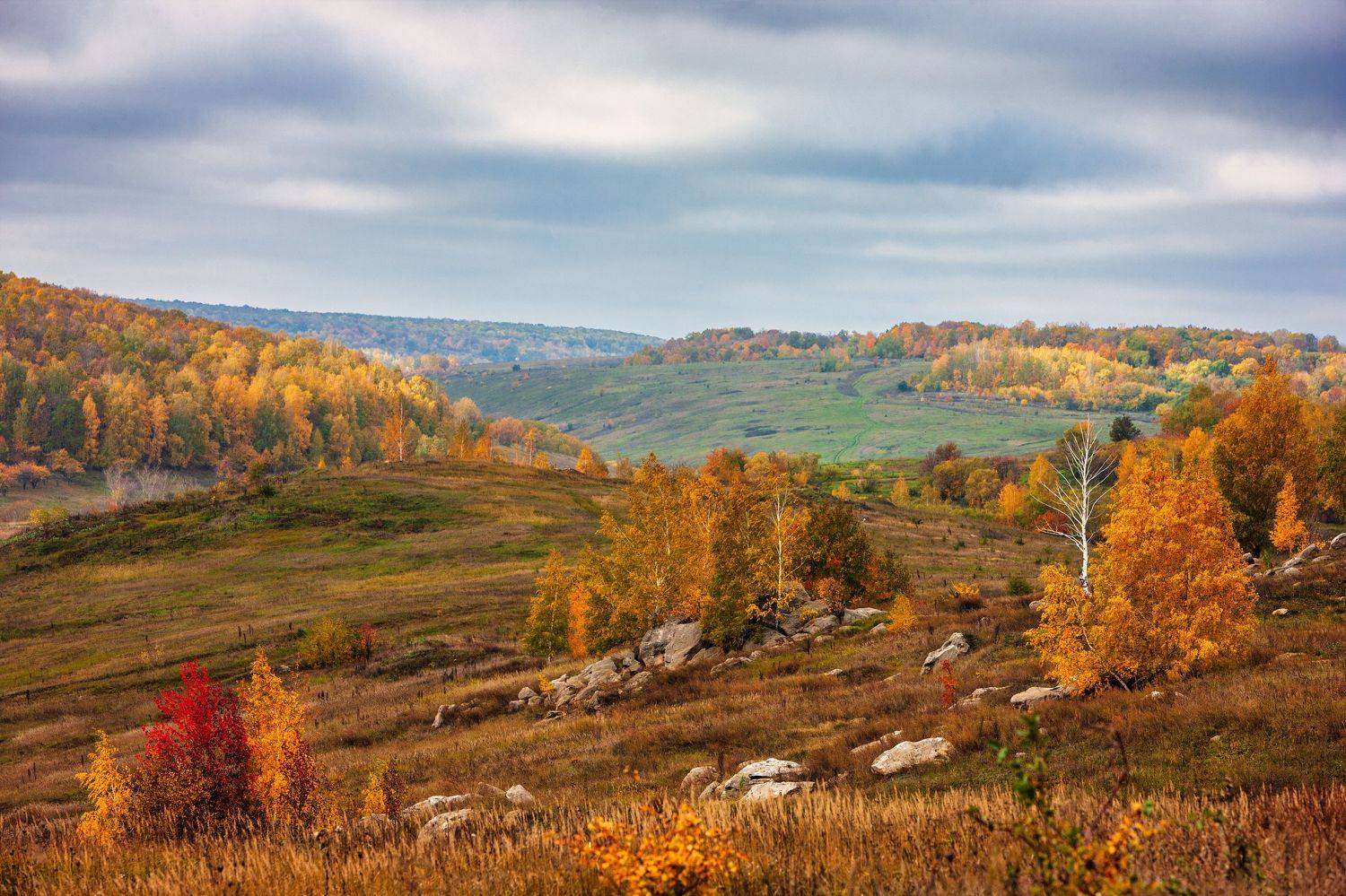 , Барабанов Алексей