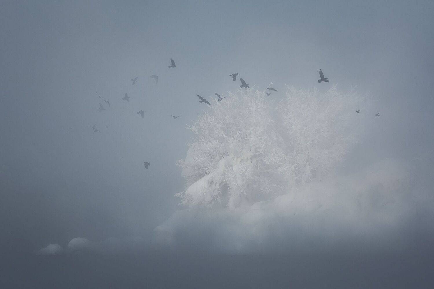 туман, иней, Константин Маланин