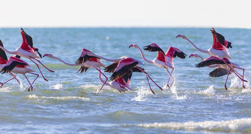 Танцы в воде фото превью