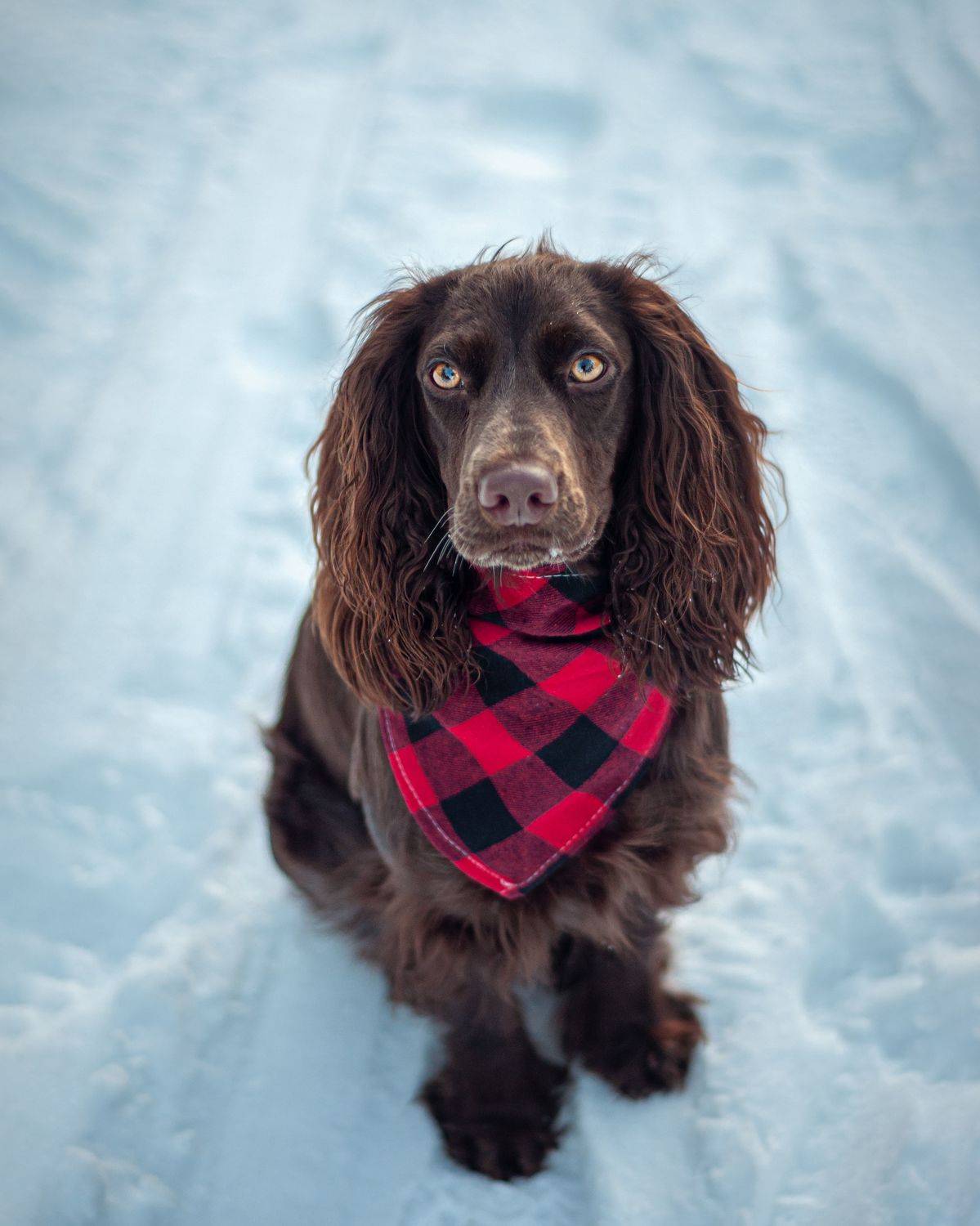 , Динара Зуйкова