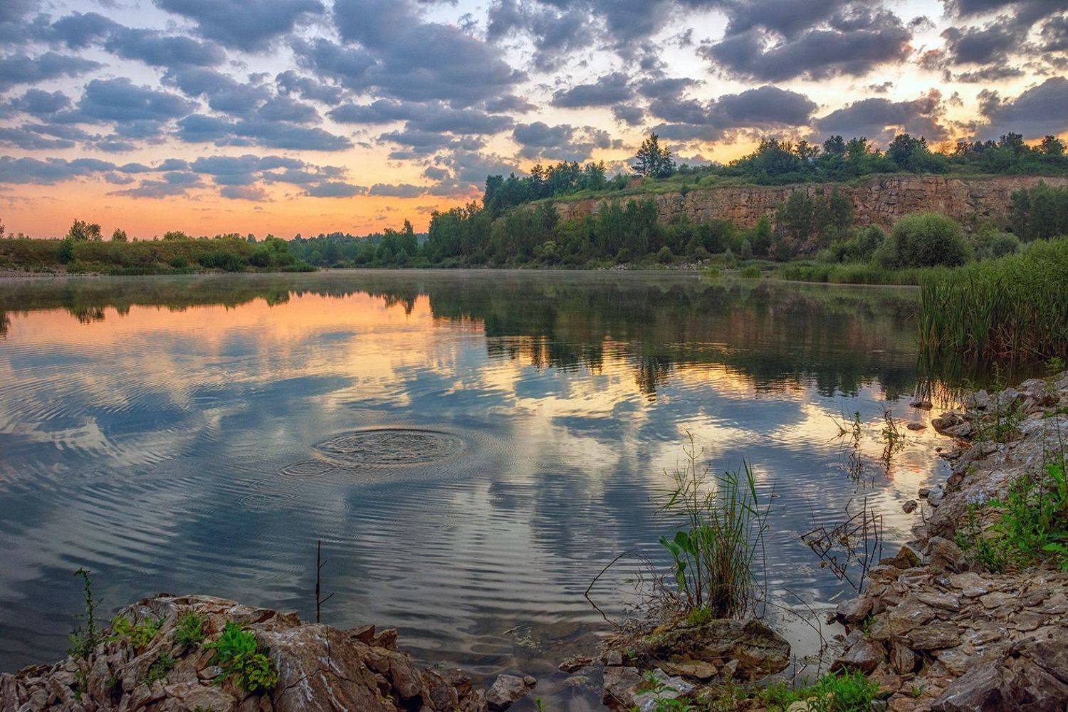 , Анатолий Зверев