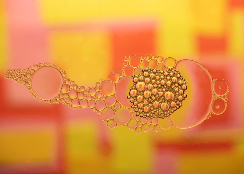 closeup,liquid,art,oil,water,abstract,drop liquid Paramecium. фото превью