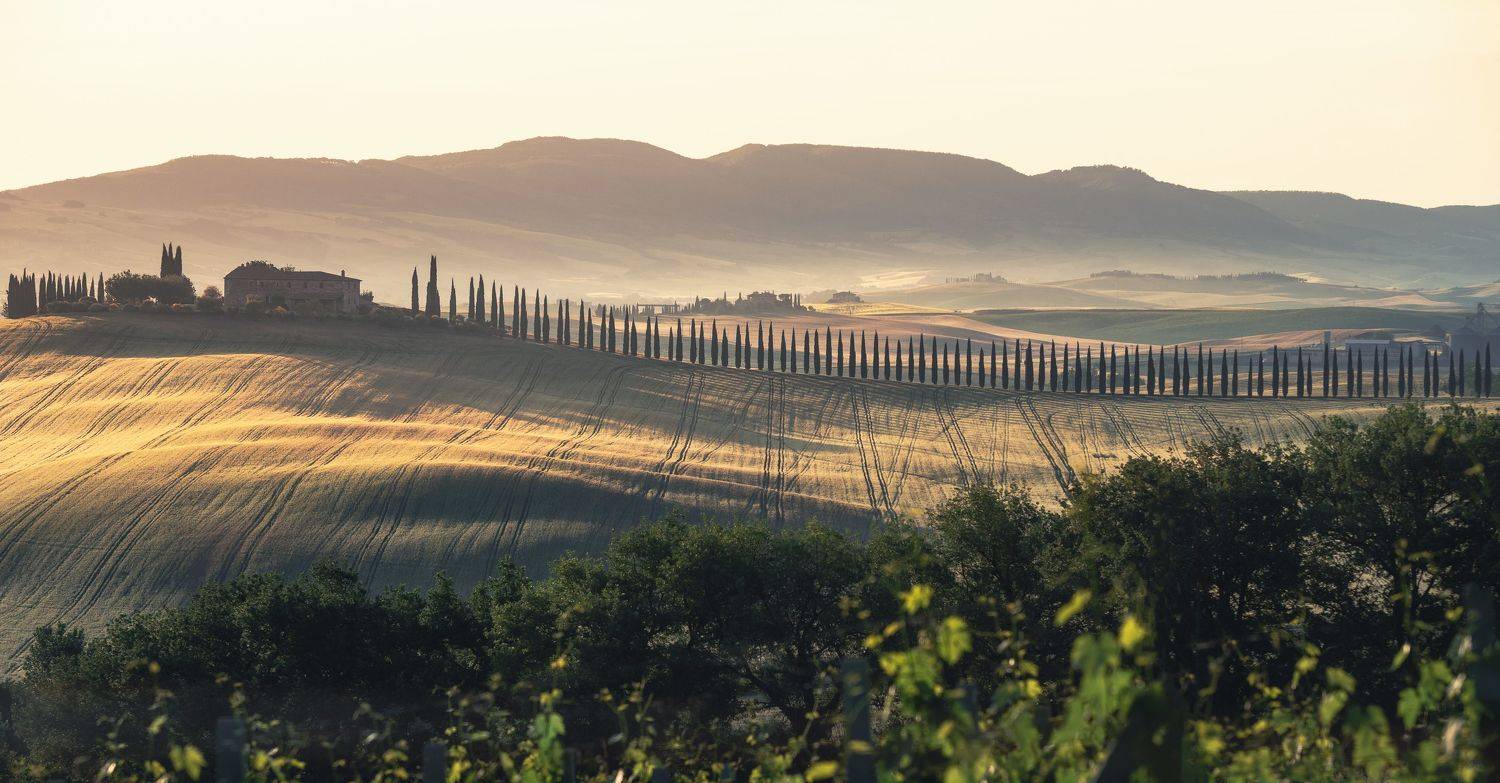 , Алексей Козаченко