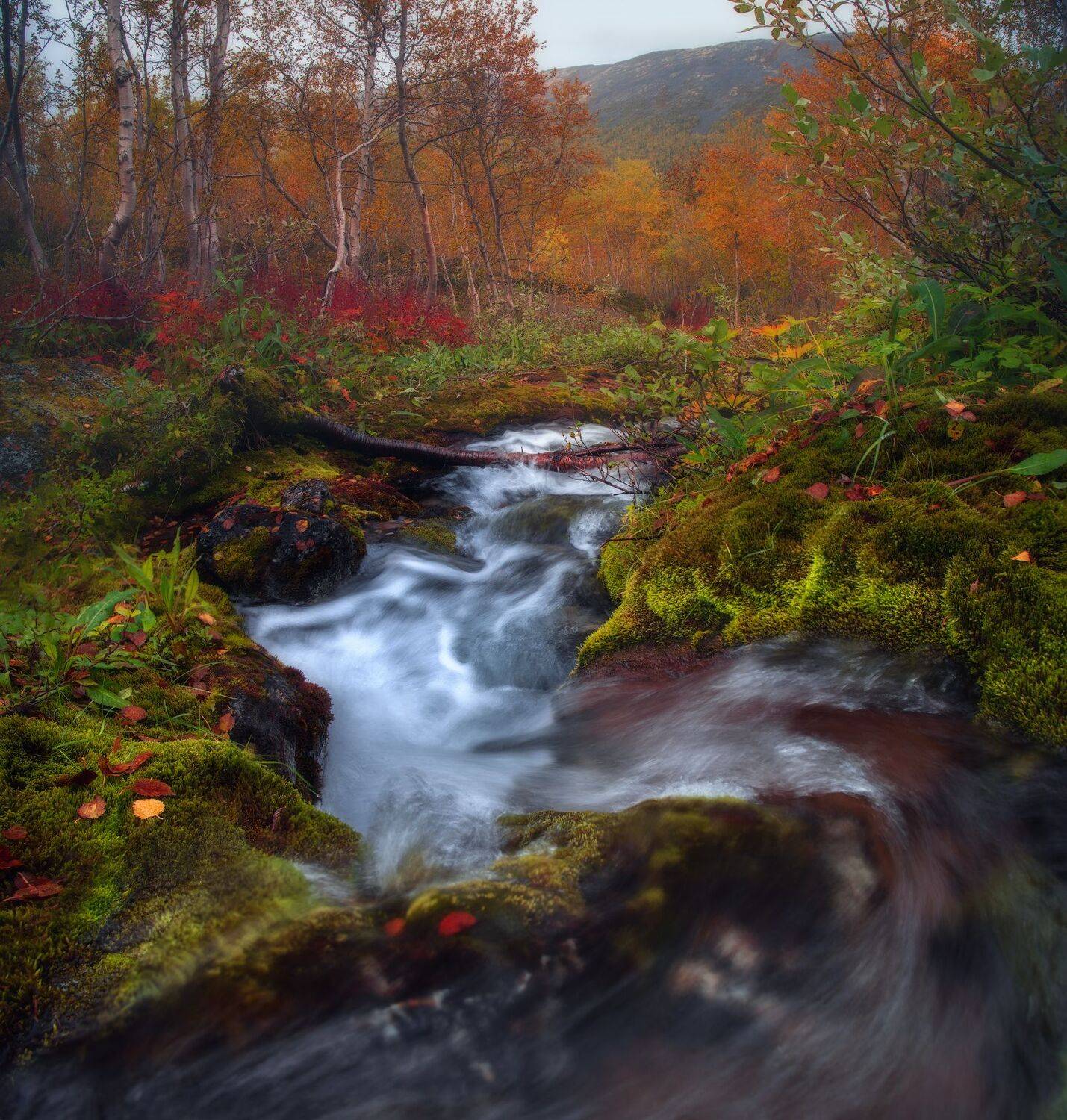 , Виталий Истомин