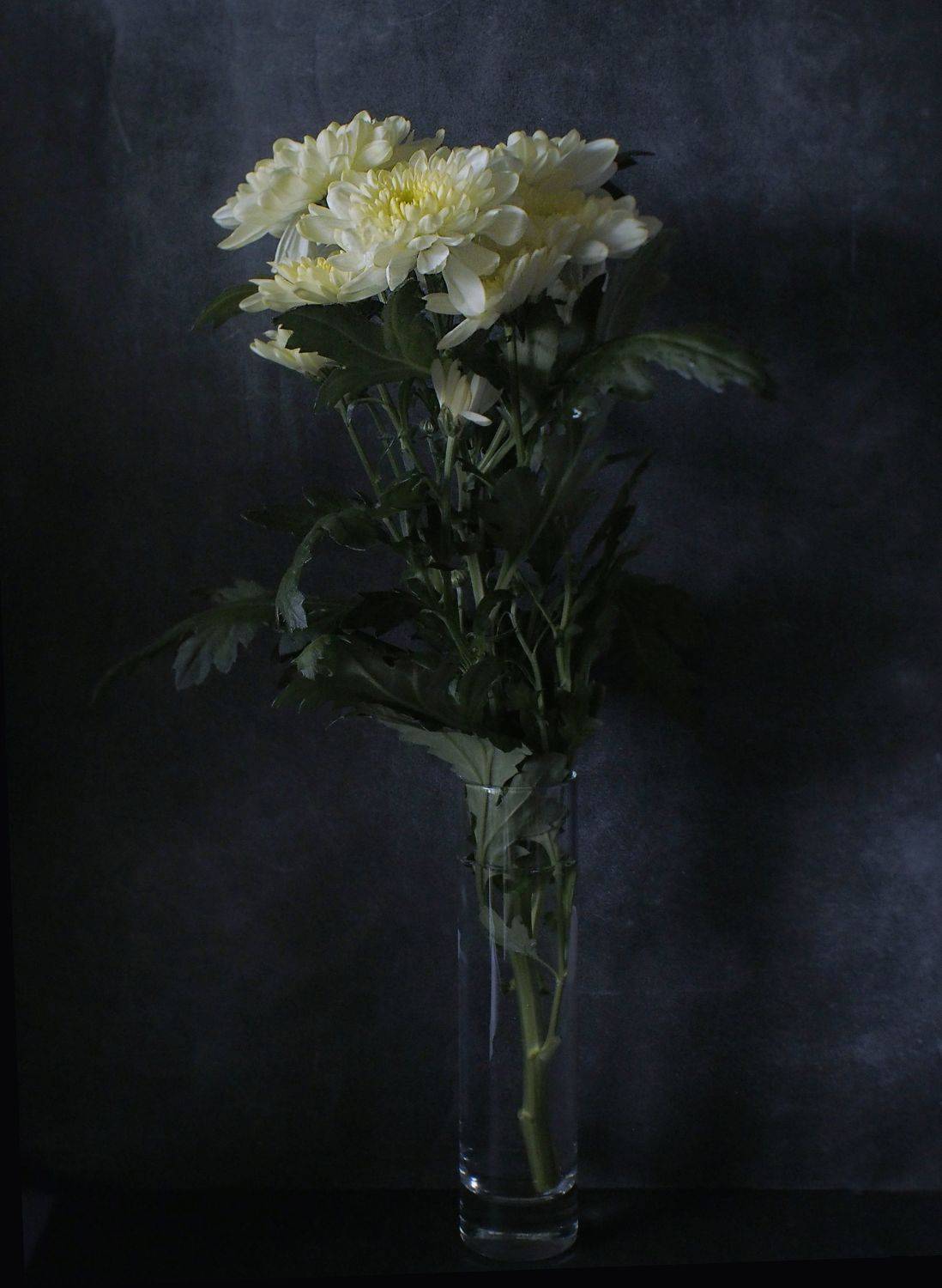 , Димитър Стоянов