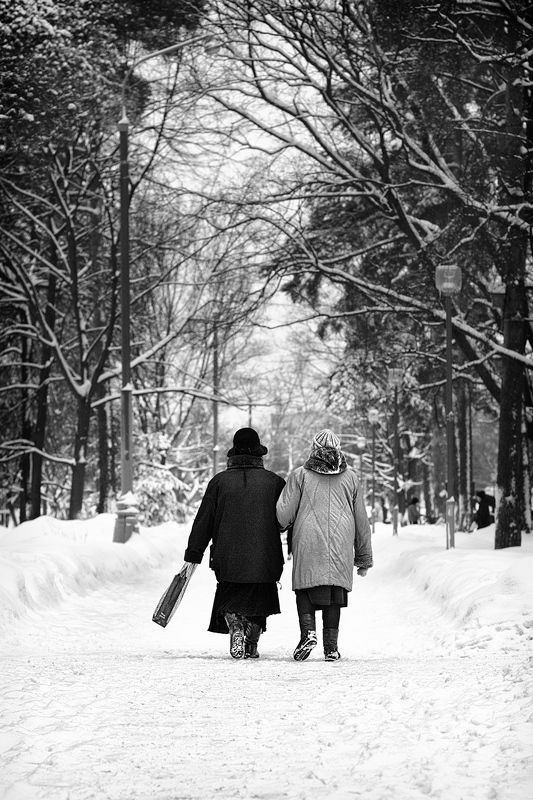 чб фото, уличная фотография, зима, парк В зимнем парке фото превью