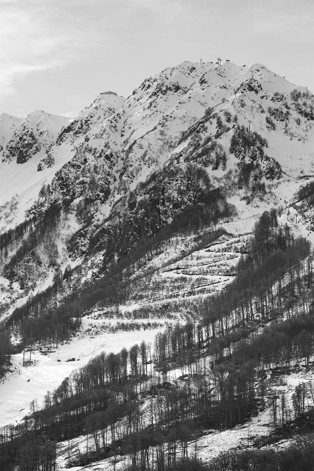 роза хутор красная поляна, Чудинин Дмитрий