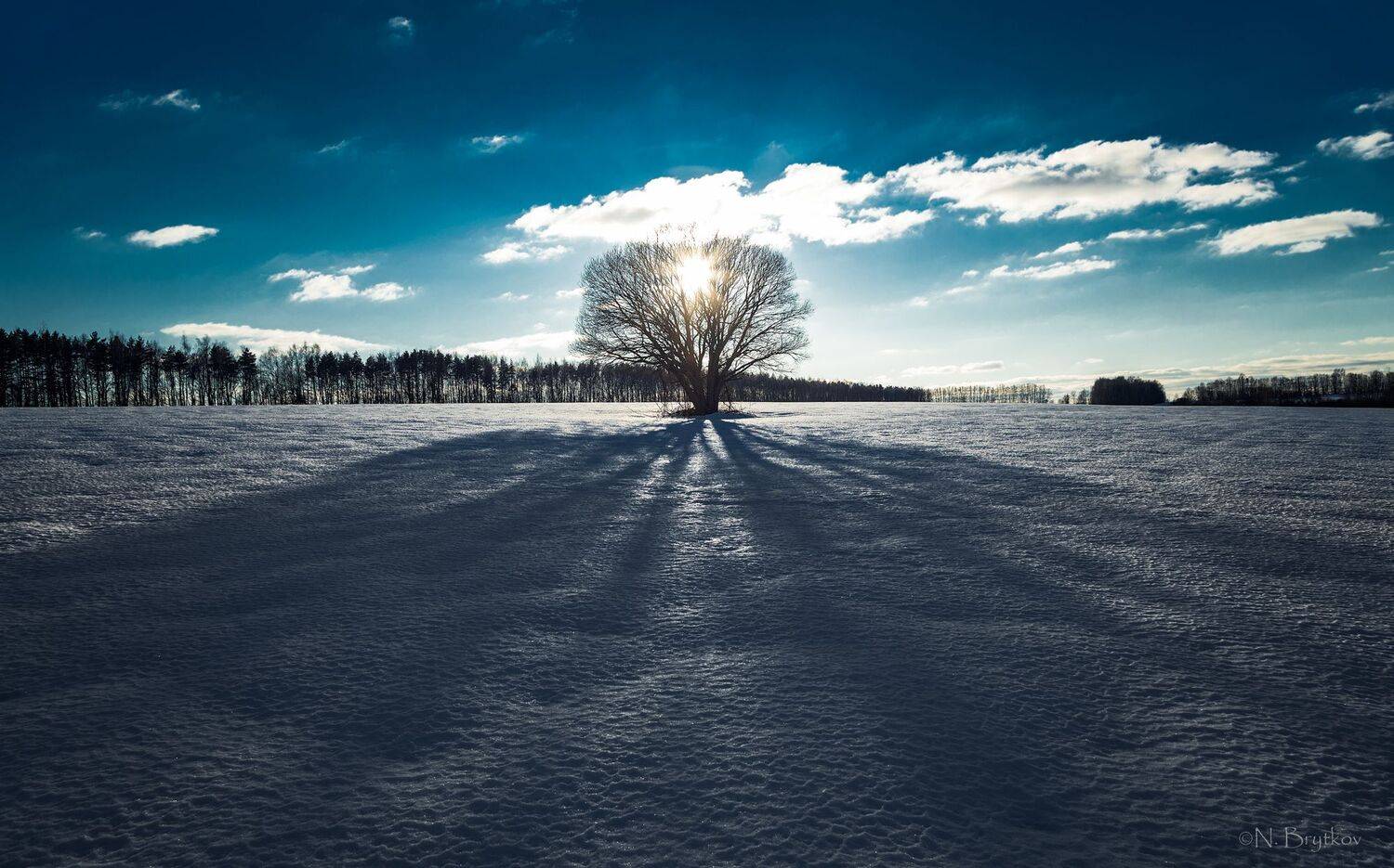 , Николай Брытков