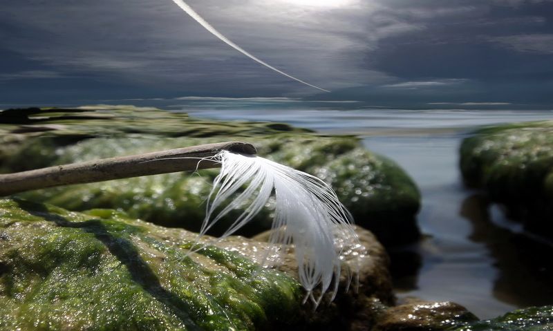 одесса ХАДЖИБЕЙ фото превью