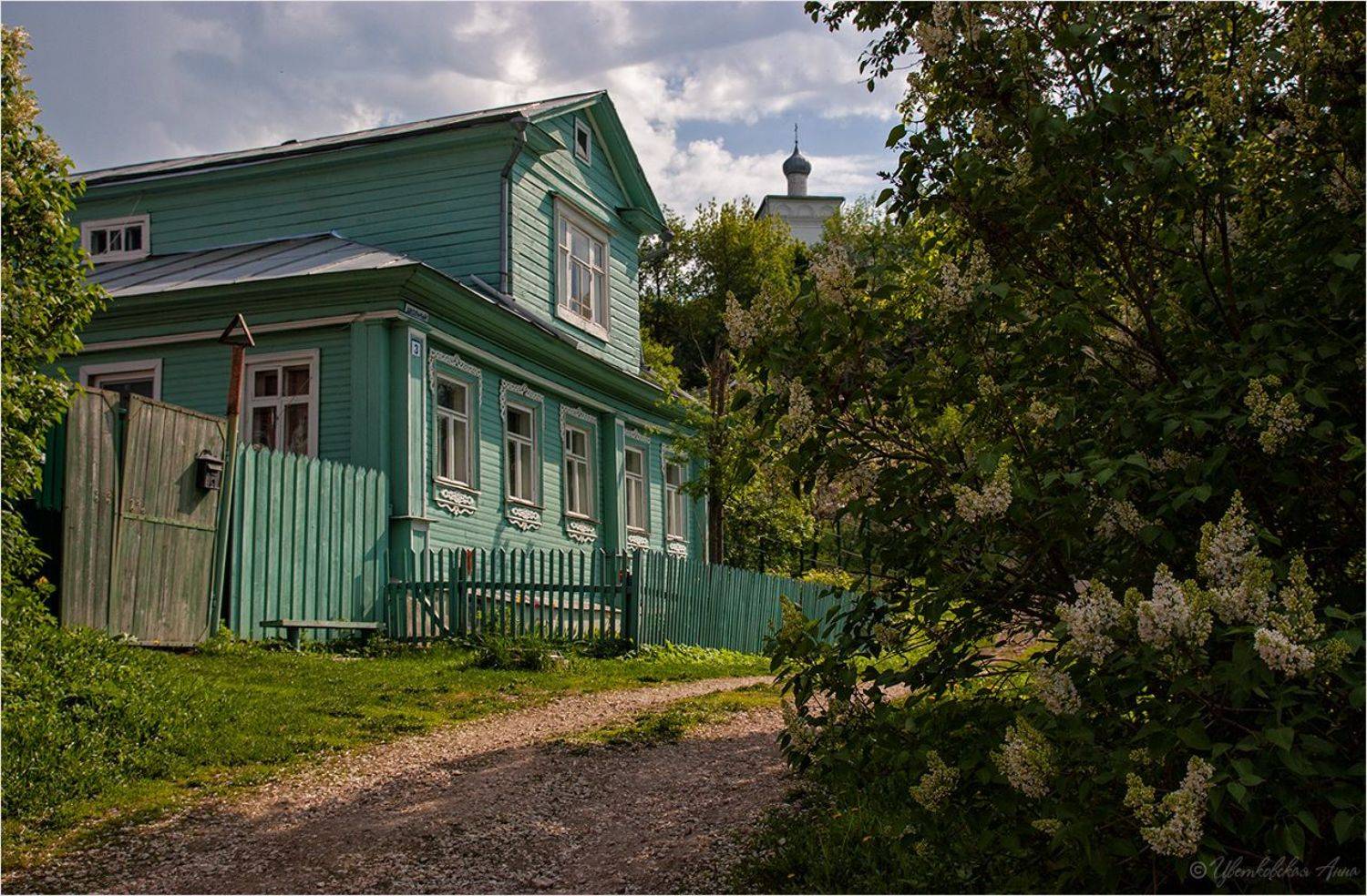 гороховец, весна, Анна Цветковская