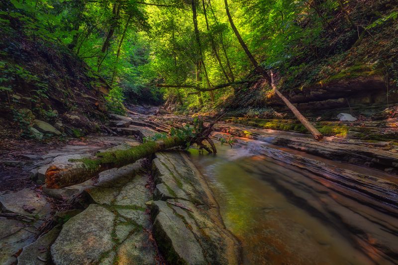 По дороге к Пшадскому водопаду фото превью