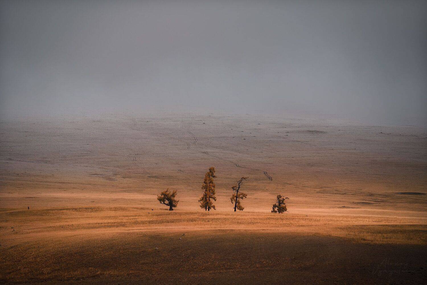 altay, autumn, winter, october, cold, topview, aerial, landscape, Алексей Вымятнин