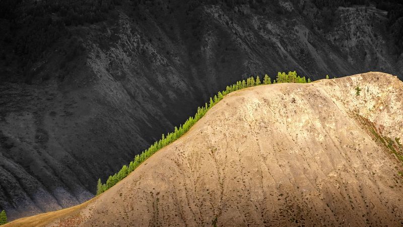 россия, горы, алтай, природа, свет, тьма, ник_васильев, грань, форпост, zаслон, \