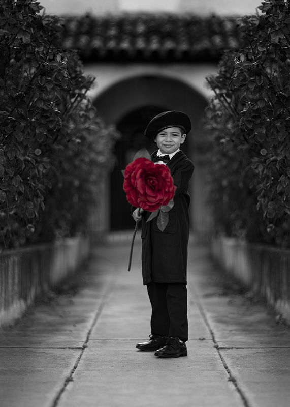 фото превью