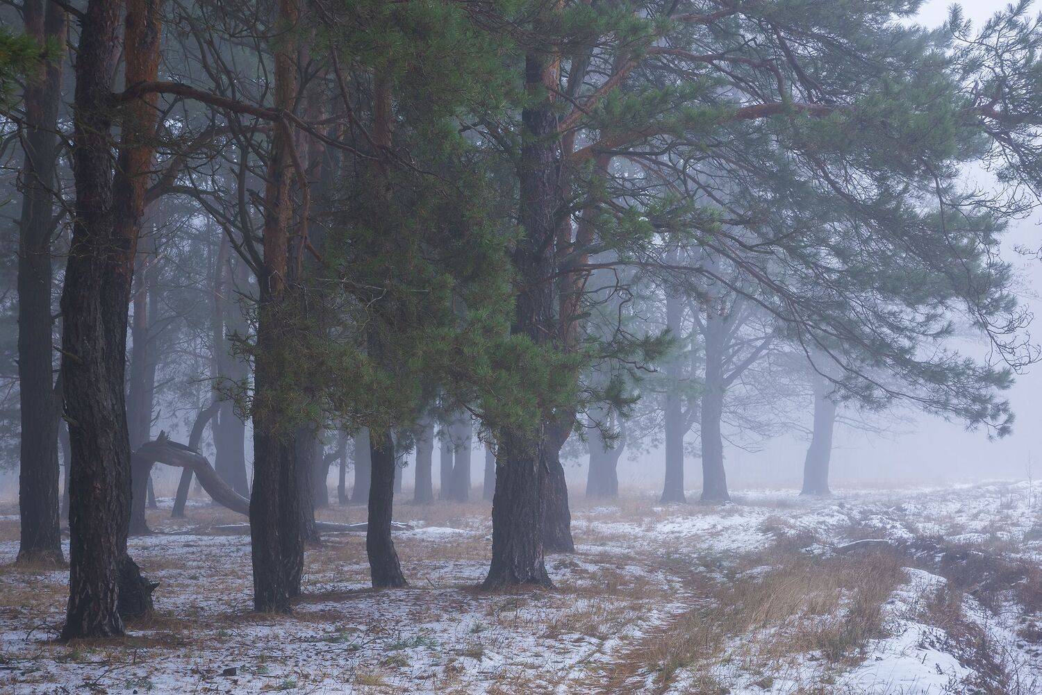 , Захаров Дмитрий