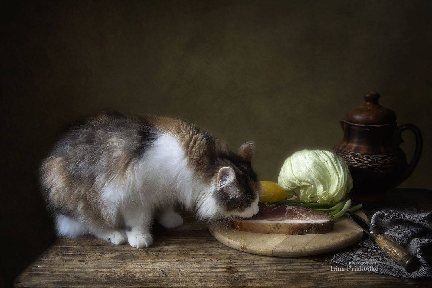 котонатюрморт, постановочное фото, котики, домашние питомцы, еда, окорок, натюрморт, Приходько Ирина