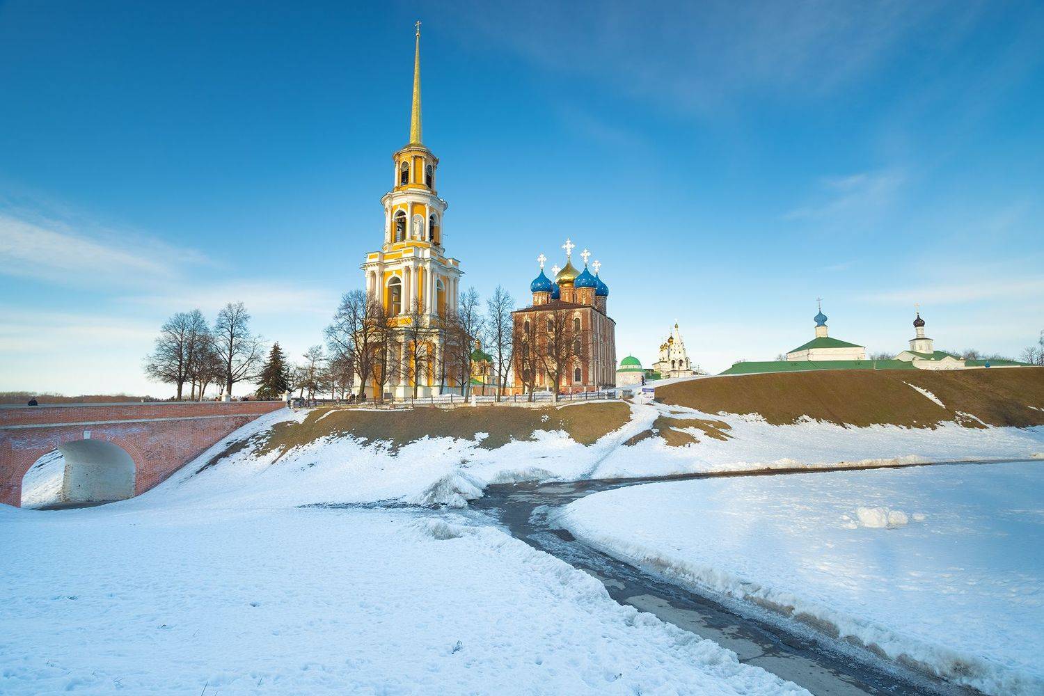 рязань кремль соборная колокольня грибы с глазами, Чудинин Дмитрий