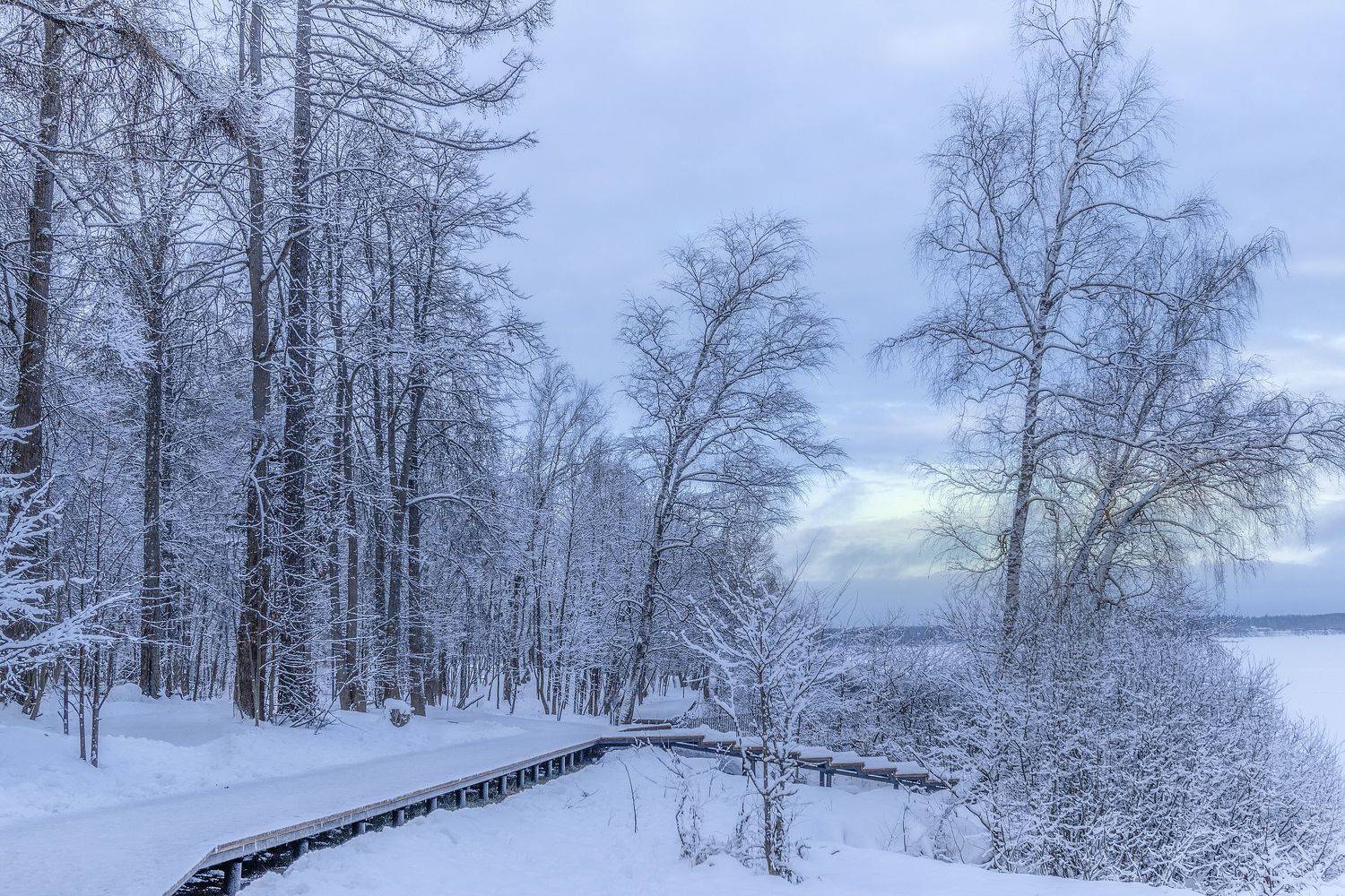 , Гусева Елена