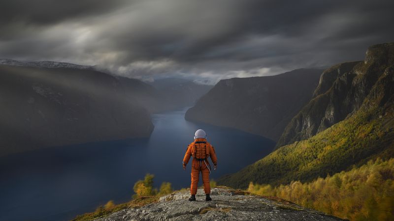 Commander фото превью