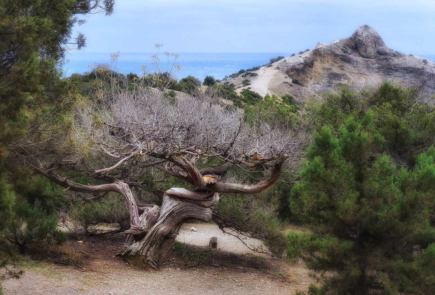 , Геннадий Чеботарев