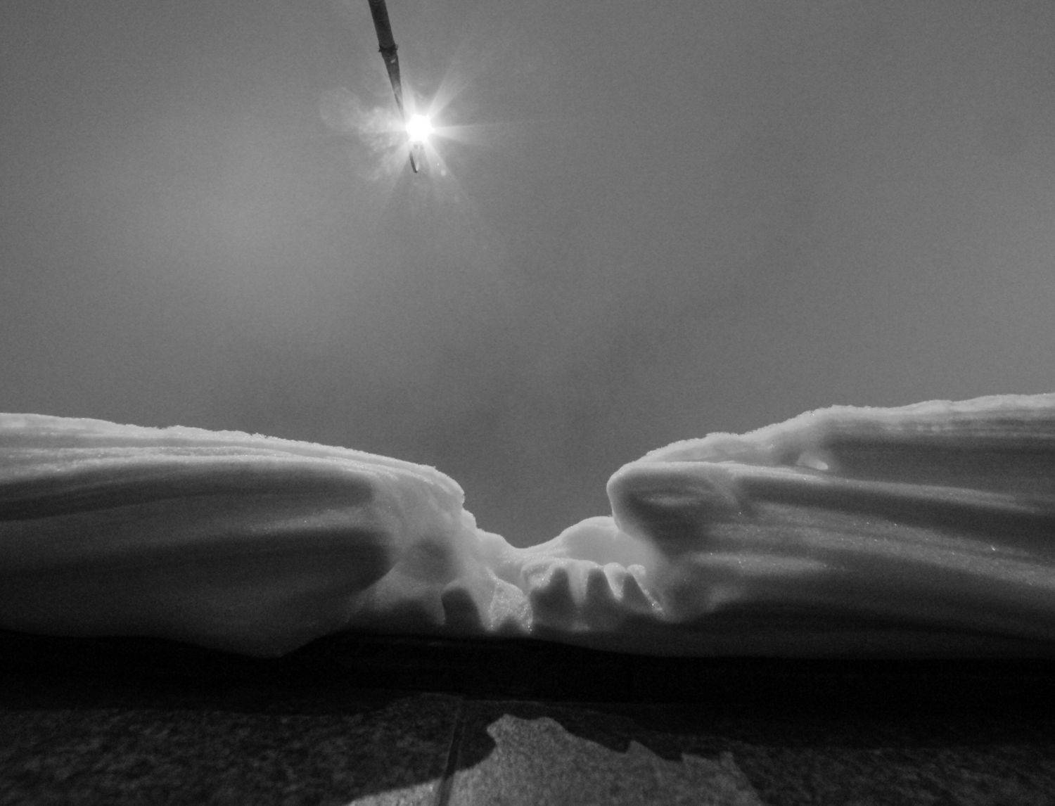 , Дмитрий Ткаченко